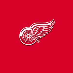 NHL Detroit Red Wings Solid Background Playstation 3 & PS3 Skin